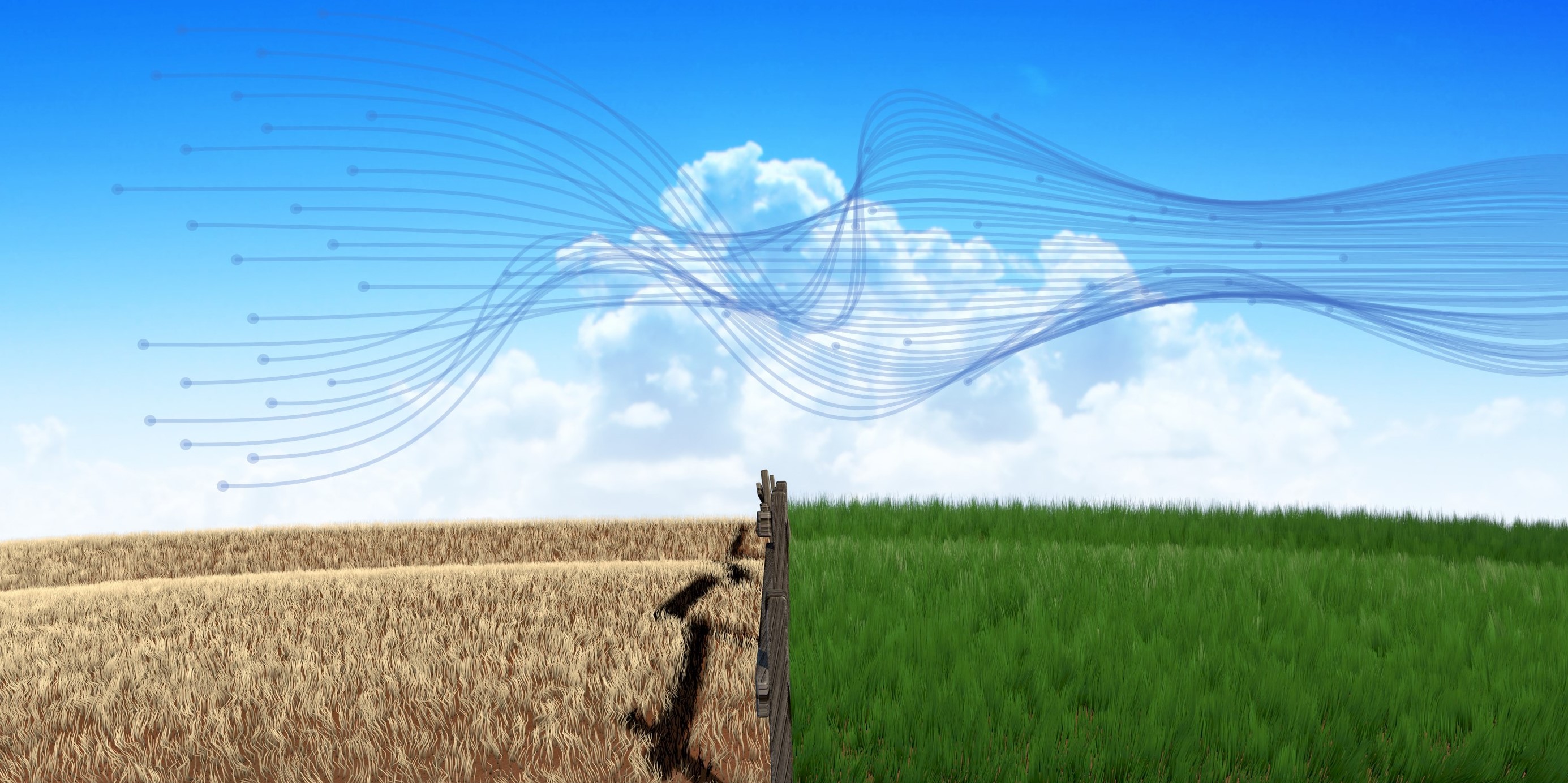 The Grass is Greener